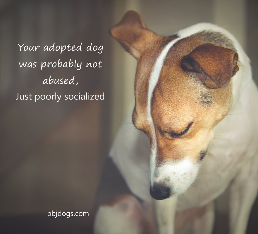 Happy Dogs CBD the Abuse excuse