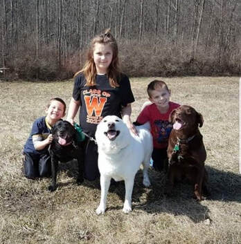 Happy dogs and Happy kids! Happy Dogs CBD Because your dogs are worth it!