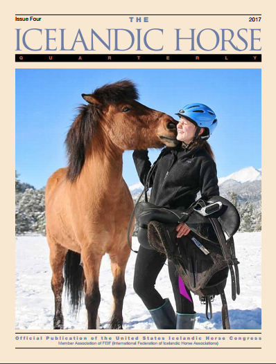 Horse, Icelandic horse, happy dogs, pbjequine.com
